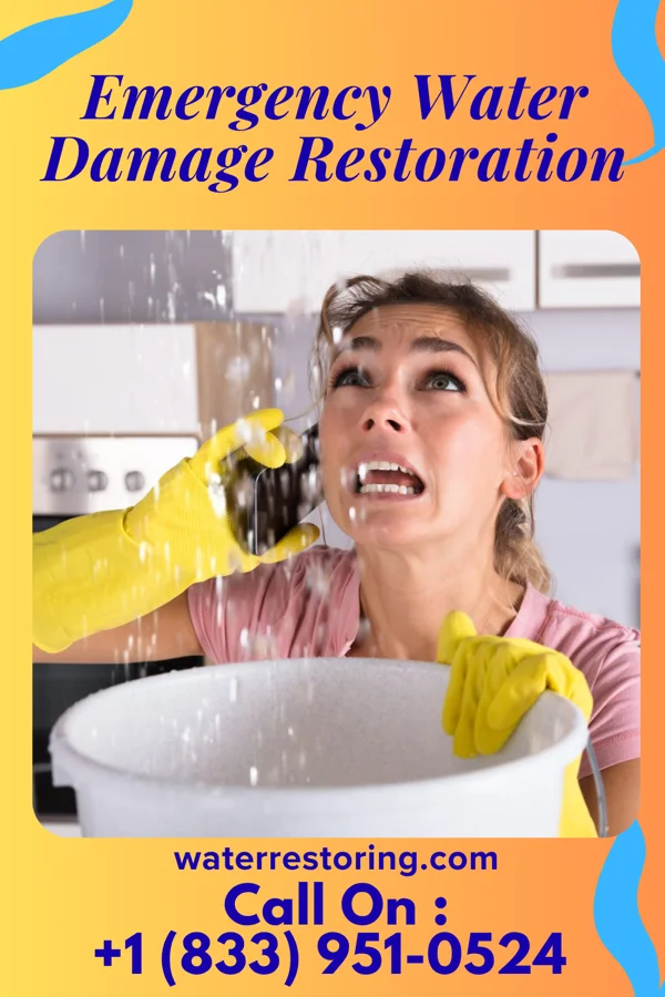 Emergency Water Damage Restoration in North Charleston, SC